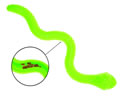 IMAC-ICC865 TPR SNACK SNAKE WITH SQUEAKING HEAD 1x3